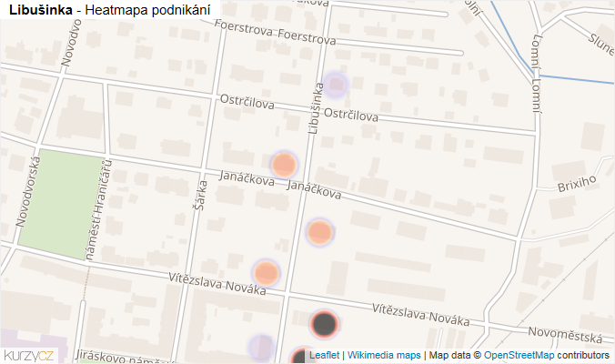 Mapa Libušinka - Firmy v ulici.