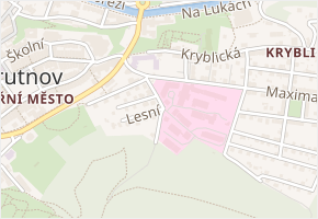 Pod Chmelnicí v obci Trutnov - mapa ulice