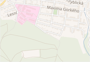 Pod Lesem v obci Trutnov - mapa ulice