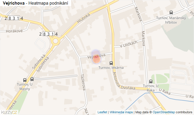 Mapa Vejrichova - Firmy v ulici.