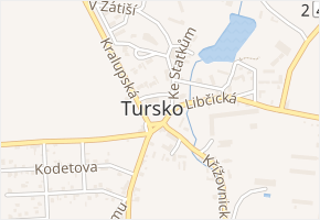 Čestmírovo náměstí v obci Tursko - mapa ulice