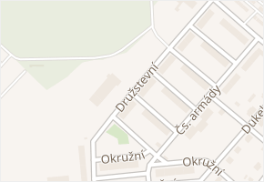 Družstevní v obci Týniště nad Orlicí - mapa ulice