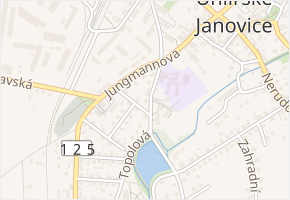 Třebízského v obci Uhlířské Janovice - mapa ulice