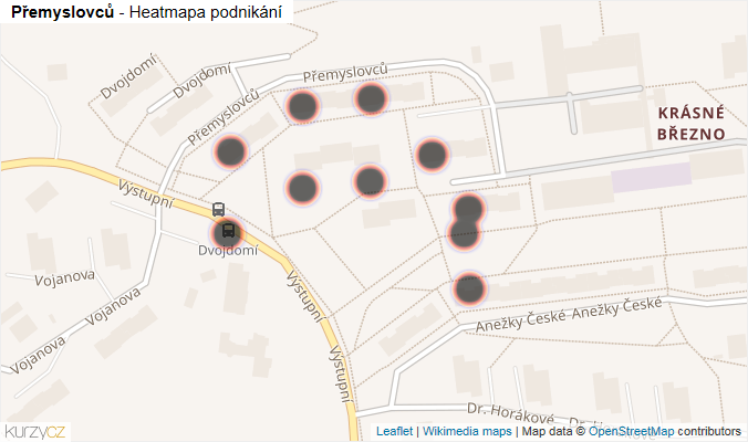 Mapa Přemyslovců - Firmy v ulici.