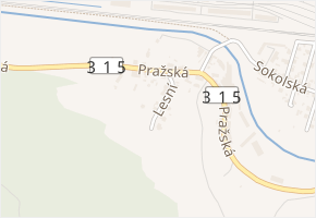 Lesní v obci Ústí nad Orlicí - mapa ulice