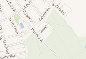 Lesní v obci Vacenovice - mapa ulice