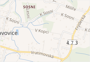 V Kopci v obci Václavovice - mapa ulice