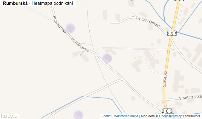 Mapa Rumburská - Firmy v ulici.
