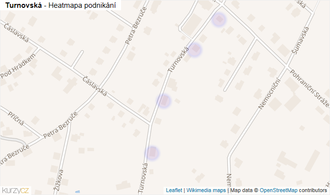Mapa Turnovská - Firmy v ulici.