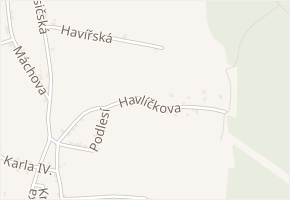 Havlíčkova v obci Vejprty - mapa ulice