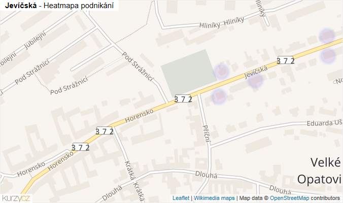 Mapa Jevíčská - Firmy v ulici.