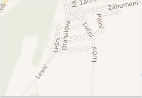 Kinclova v obci Velké Opatovice - mapa ulice