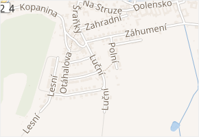 Luční v obci Velké Opatovice - mapa ulice