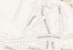 Čechova v obci Velké Pavlovice - mapa ulice