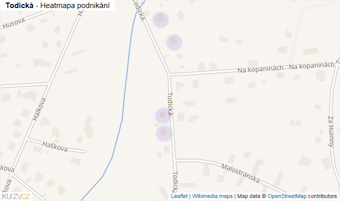 Mapa Todická - Firmy v ulici.