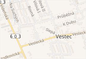 Slepá v obci Vestec - mapa ulice