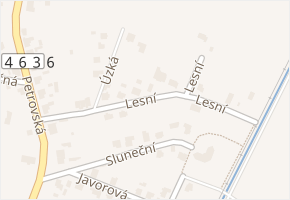 Lesní v obci Vikýřovice - mapa ulice