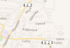 Lipová v obci Vítkov - mapa ulice