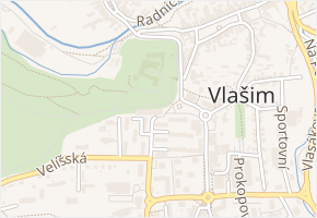 Dvůr v obci Vlašim - mapa ulice