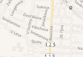 Fibichova v obci Vlašim - mapa ulice