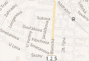 Janáčkova v obci Vlašim - mapa ulice