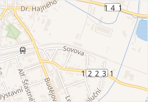 Sovova v obci Vodňany - mapa ulice
