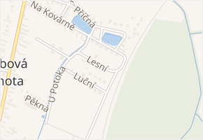 Lesní v obci Vrbová Lhota - mapa ulice