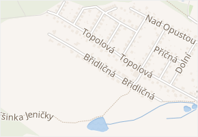 Břidličná v obci Vřesina - mapa ulice