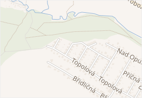 Na svahu v obci Vřesina - mapa ulice