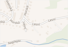 Lesní v obci Vsetín - mapa ulice