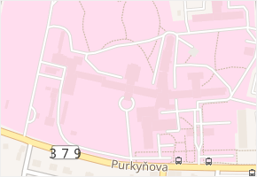 Purkyňova v obci Vyškov - mapa ulice
