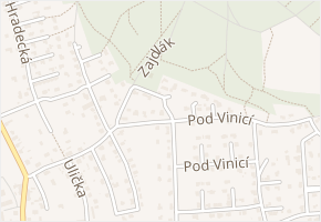 Na Vinici v obci Vysoká nad Labem - mapa ulice