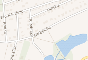 Na Bělidle v obci Vyžlovka - mapa ulice