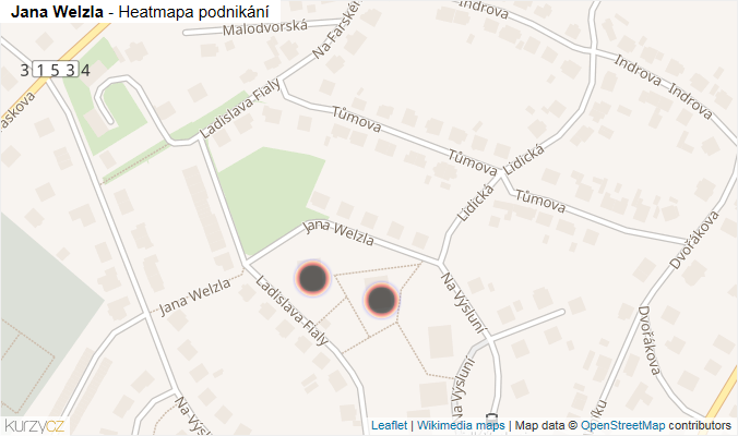 Mapa Jana Welzla - Firmy v ulici.