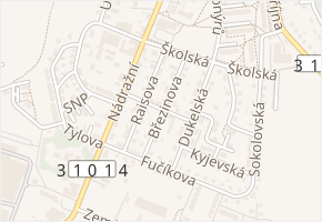 Březinova v obci Žamberk - mapa ulice
