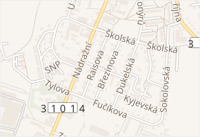 Nerudova v obci Žamberk - mapa ulice