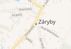 Záryby v obci Záryby - mapa části obce