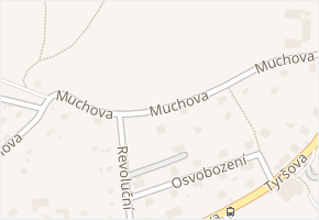 Muchova v obci Zbiroh - mapa ulice