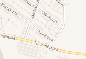 Kavánova v obci Žďár nad Sázavou - mapa ulice