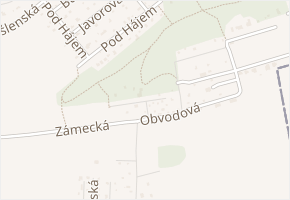 U Borovic v obci Zdiby - mapa ulice