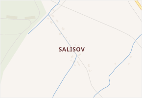 Salisov v obci Zlaté Hory - mapa ulice