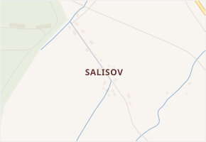 Salisov v obci Zlaté Hory - mapa části obce