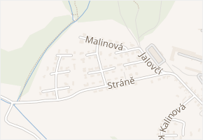 Borůvková v obci Zlín - mapa ulice