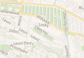 Losky v obci Zlín - mapa ulice