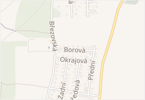 Borová v obci Zvole - mapa ulice