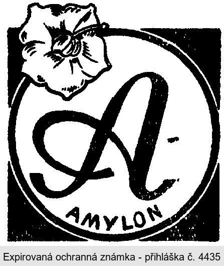 A AMYLON
