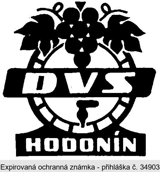 DVS