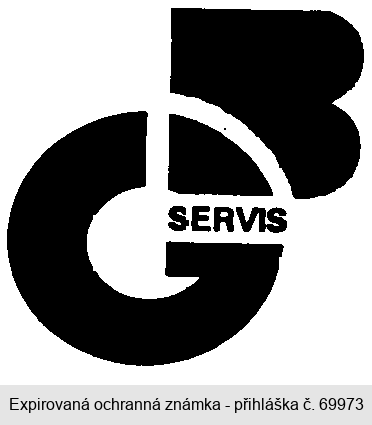 B.G.SERVIS