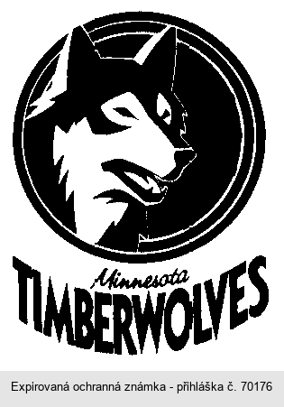 Minnesota TIMBERWOLVES
