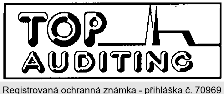 TOP AUDITING